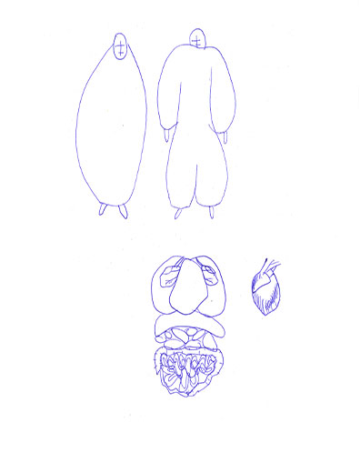 Alien Anatomy Drawing 1