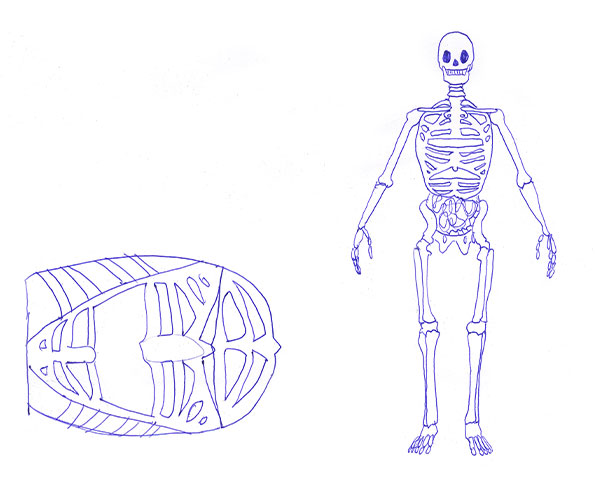 Alien Anatomy Drawing 3