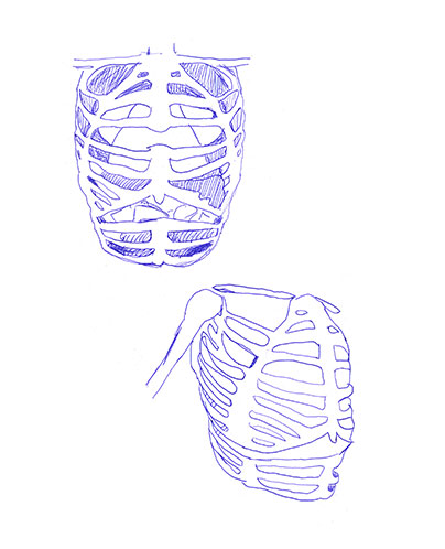 Alien Anatomy Drawing 4